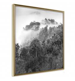 Plakat v črnem gozdu z meglo iz okna - Arredalacasa