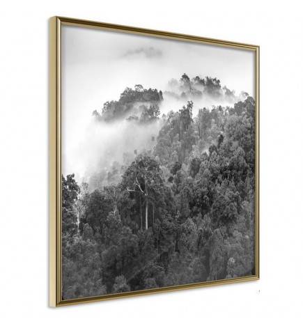 Poster in het zwarte bos met mist uit het portaal Arredalacasa