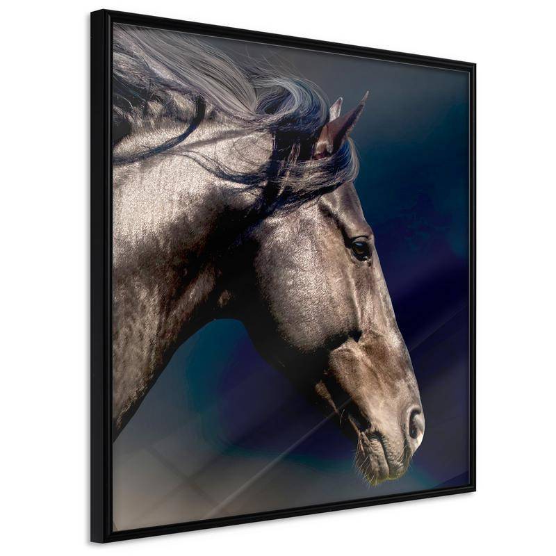 35,00 € Poster met een bruin paard, Arredalacasa