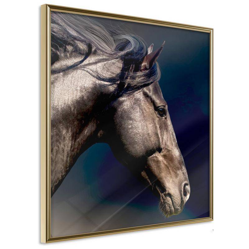 35,00 € Plakāts ar brūnu zirgu - Arredalacasa