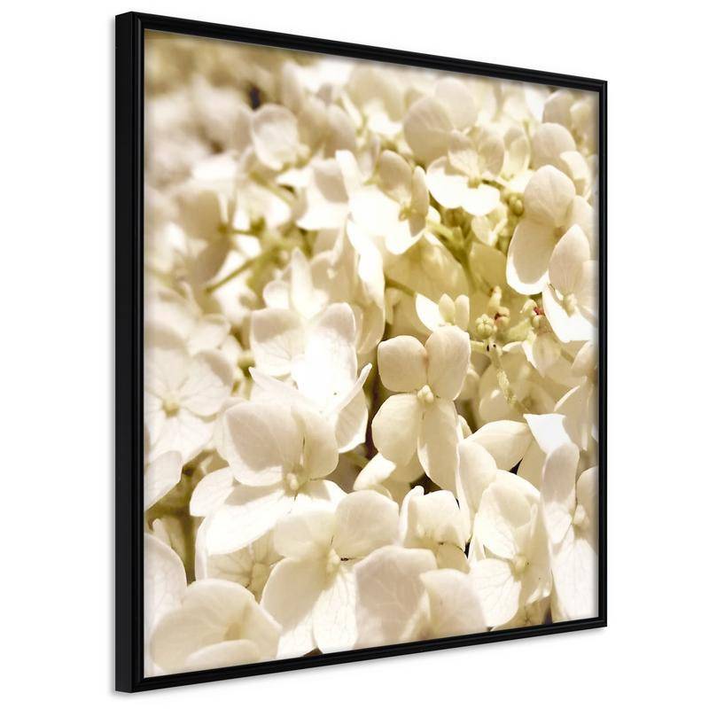 35,00 €Poster et affiche - Soothing Flowers