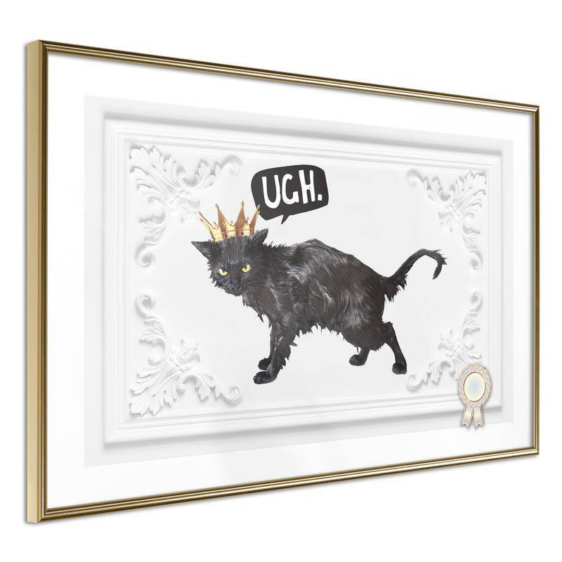 38,00 € Poster met een zeer nerveus zwarte kat Arredalacasa