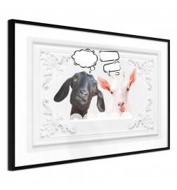38,00 € Poster - Conversation of Two Goats