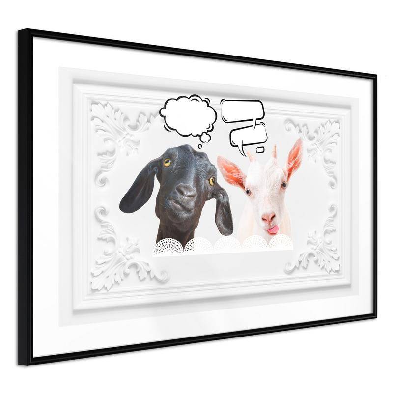 38,00 €Pôster - Conversation of Two Goats