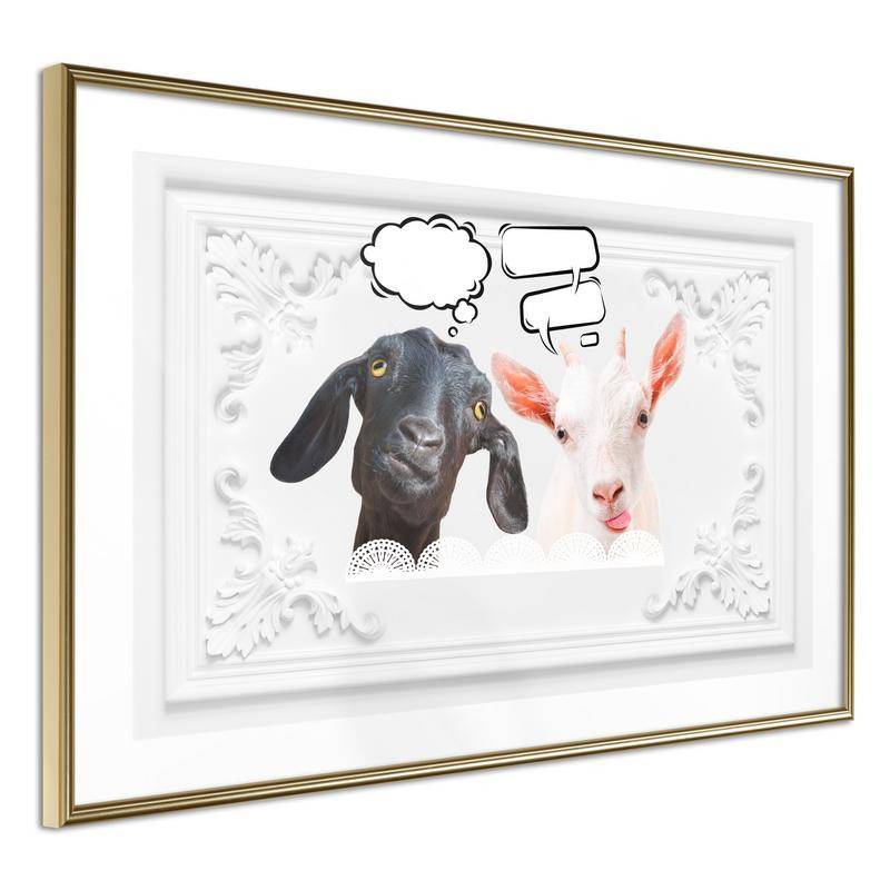 38,00 €Poster et affiche - Conversation of Two Goats