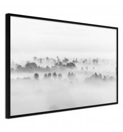 38,00 € Poster - Fog Over the Forest