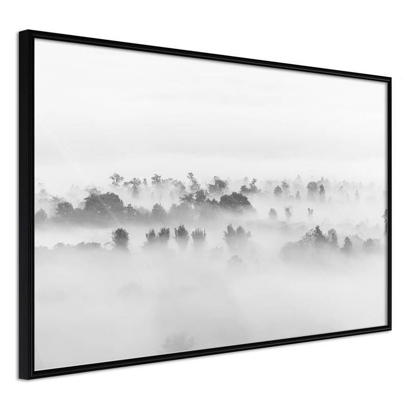 38,00 €Poster et affiche - Fog Over the Forest