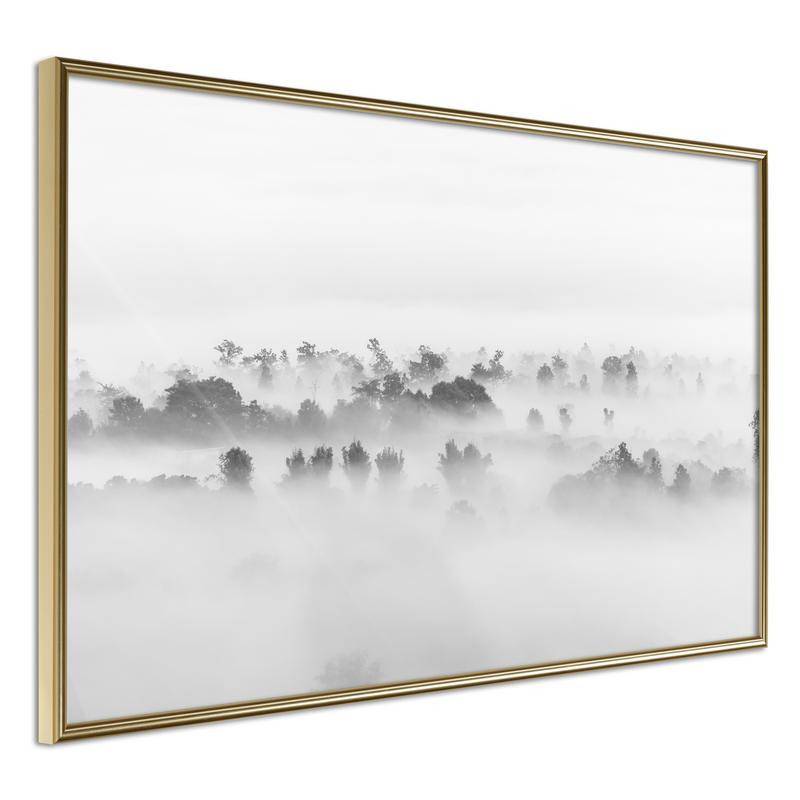 38,00 € Poster - Fog Over the Forest
