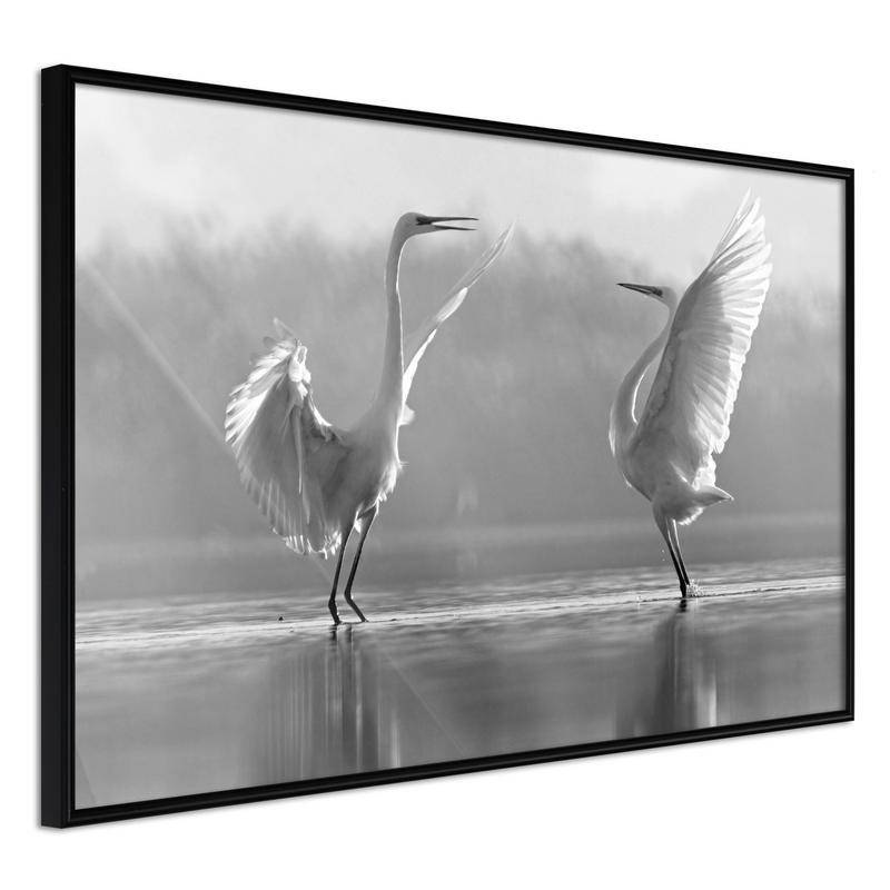 38,00 € Poster met twee zwarte en witte herons Arredalacasa