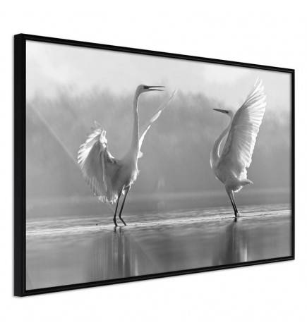 38,00 € Poster met twee zwarte en witte herons Arredalacasa
