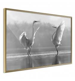 Pôster - Black and White Herons