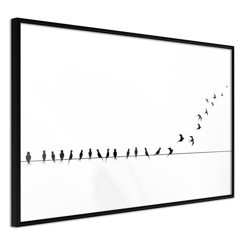 38,00 € Poster con gli uccelli sul filo - Arredalacasa
