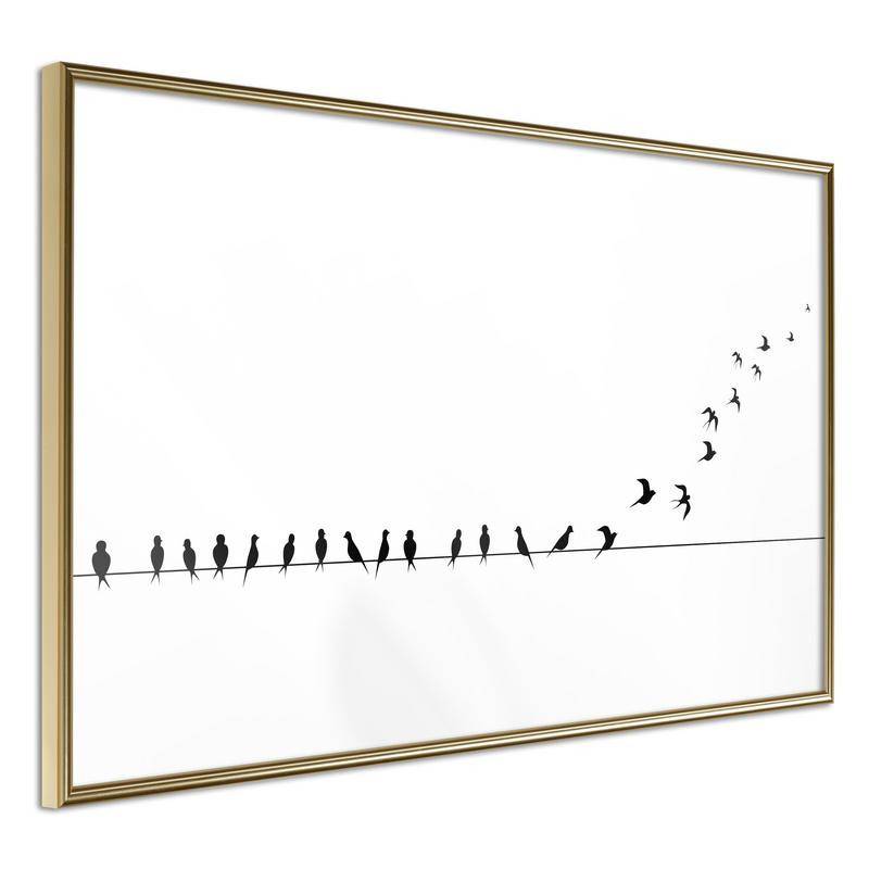 38,00 €Pôster - Birds on a Wire