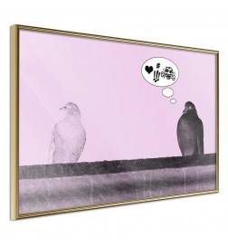 Poster in cornice con due piccioni chiacchieroni - Arredalacasa
