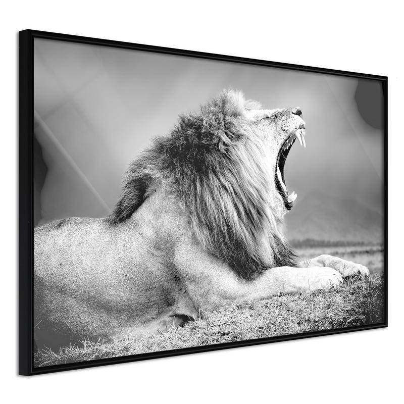 38,00 € Poster met een kauwgum leeuw Arredalacasa