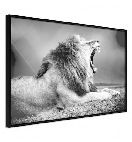 Poster - Yawning Lion