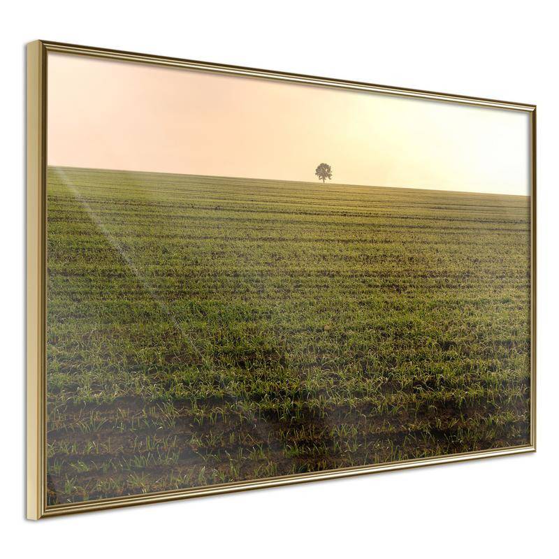 38,00 € Poster - Farmland