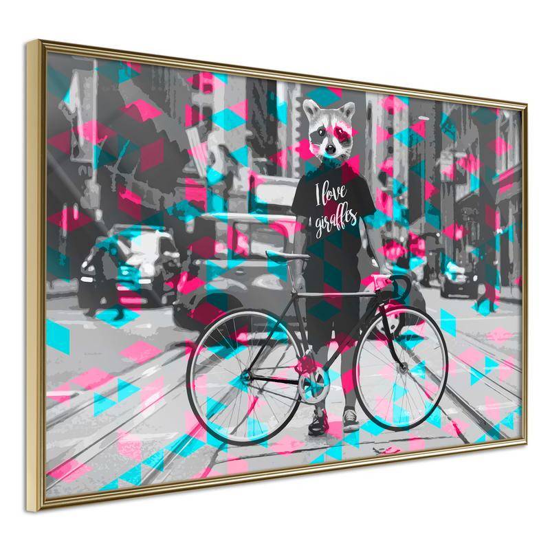 38,00 € Poster met een wasbeer fiets