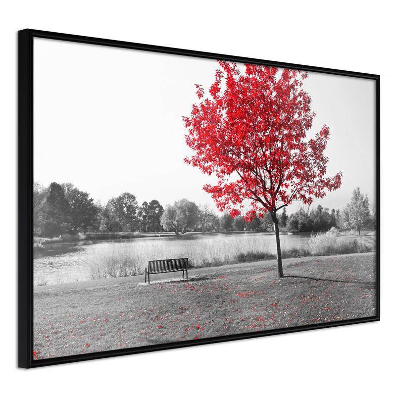 38,00 €Poster et affiche - Autumn Colours I