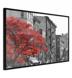 Poster in cornice con gli alberi rossi in città - Arredalacasa