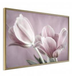 Poster in cornice con un bouquet di tulipani - Arredalacasa