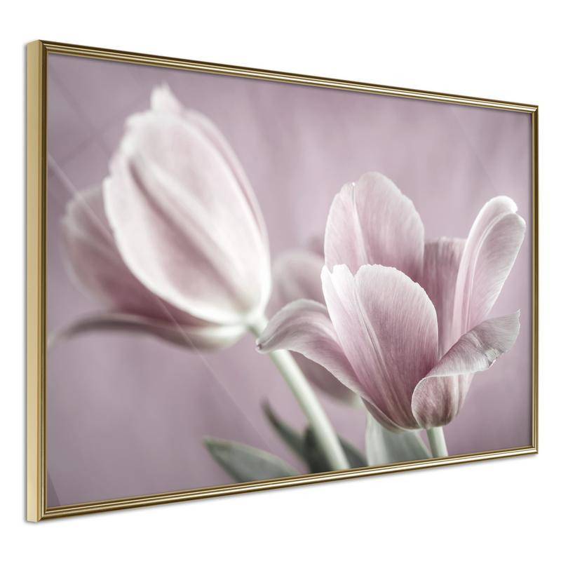 38,00 €Pôster - Pastel Tulips I