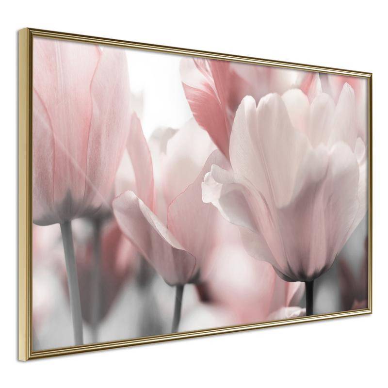 38,00 € Poster - Pastel Tulips II