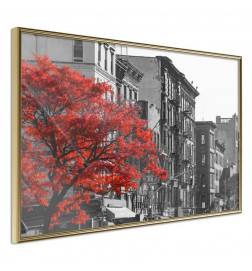 Poster in cornice con gli alberi rossi in città - Arredalacasa
