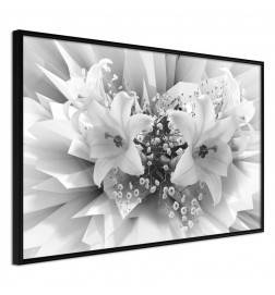 Plakat s črno-belimi lilijami - Arredalacasa