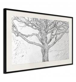 38,00 € Plakat z drevesom v črno-beli barvi - Arredalacasa