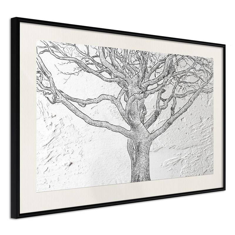 38,00 € Poster met een zwarte en witte boom, Arredalacasa