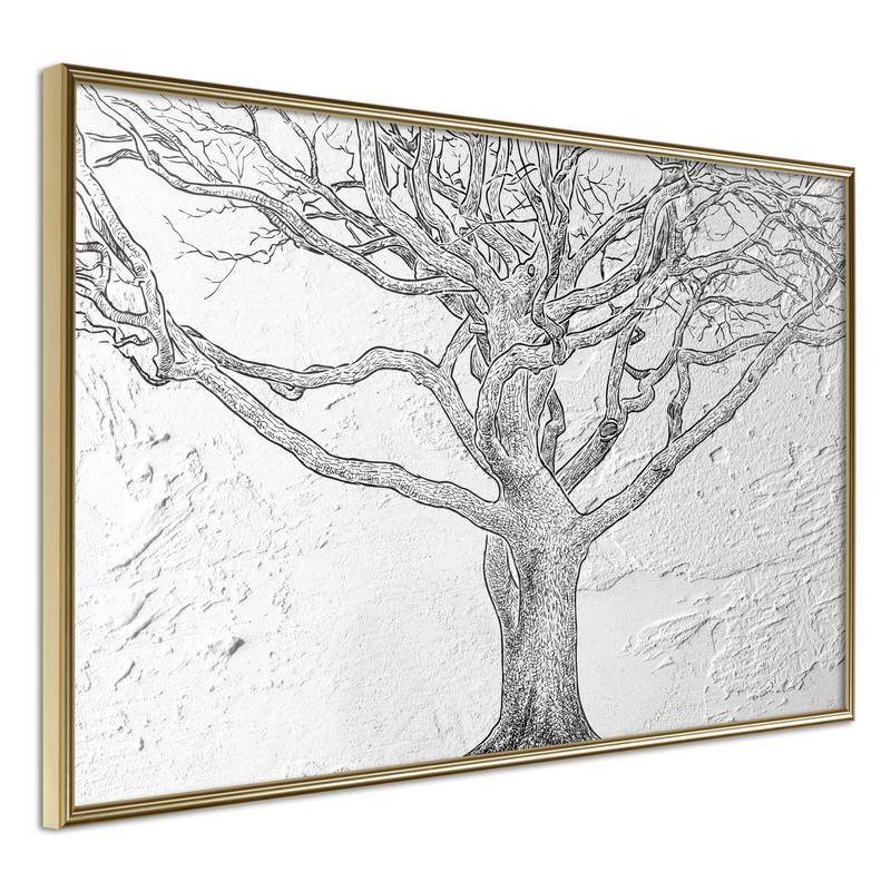 38,00 € Póster - Tangled Branches