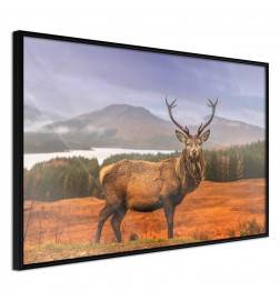 Plakat z gorskim jelenom - Arredalacasa