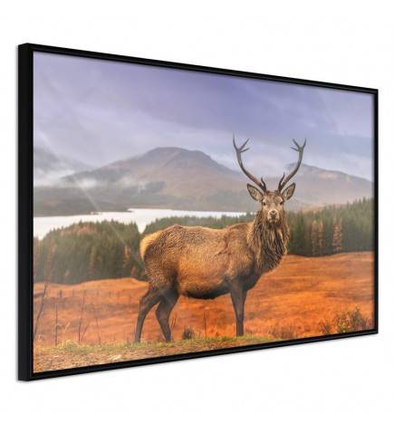 Plakat z gorskim jelenom - Arredalacasa