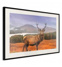Poster in cornice col cervo di montagna - Arredalacasa