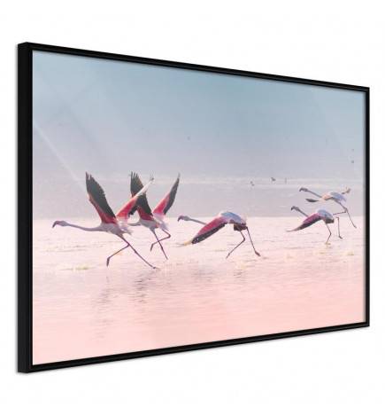 Poster et affiche - Flamingos Breaking into a Flight