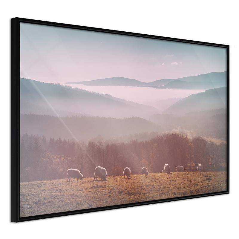 38,00 € Plakat z ovcami sredi polja - Arredalacasa