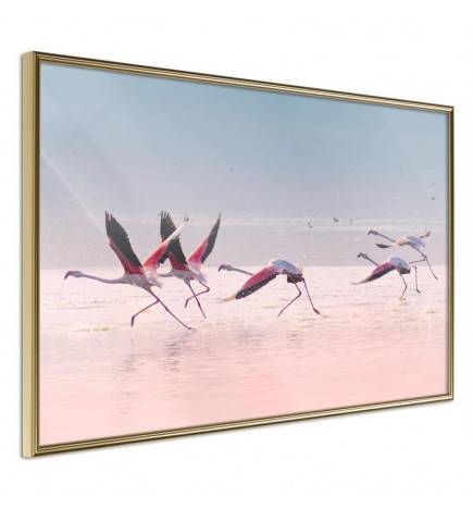 Poster et affiche - Flamingos Breaking into a Flight
