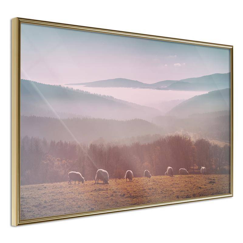 38,00 € Poster met schaap midden in een veld