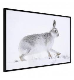 Poster met een grijs konijn
