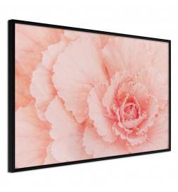 38,00 € Poster cu o trandafiră de culoare roz - Arredalacasa