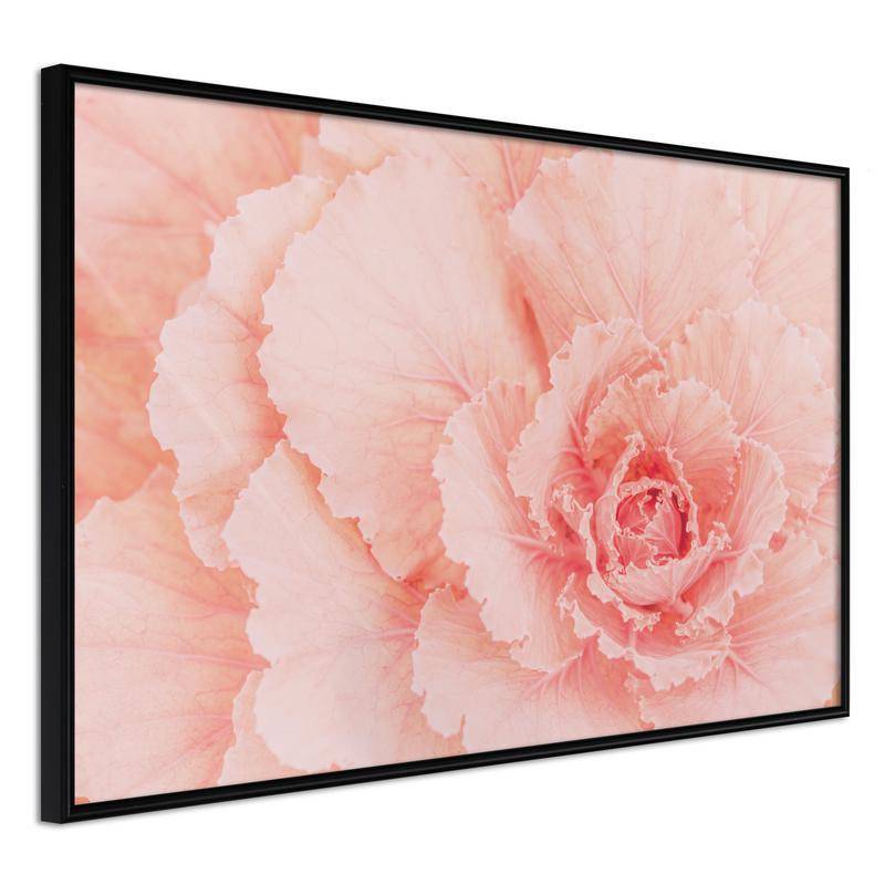 38,00 € Poster cu o trandafiră de culoare roz - Arredalacasa