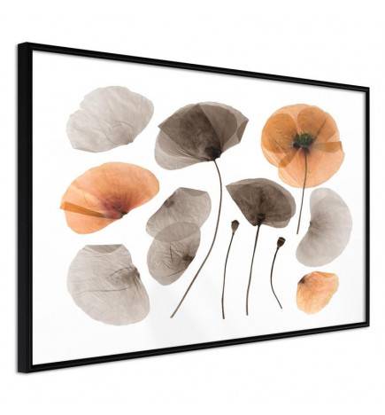 Poster et affiche - Dried Poppies