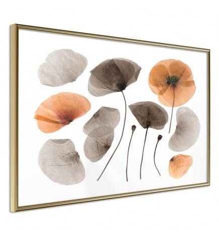 Poster - Dried Poppies