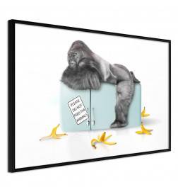 Plakatas su beždžione pilnu pilvu – Arredalacasa