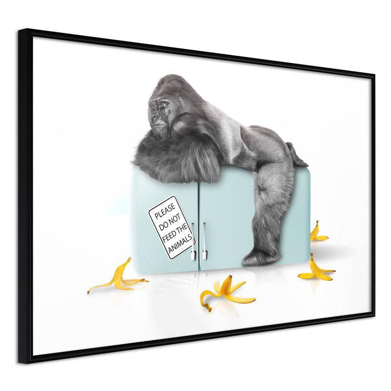 38,00 € Poster met een aap met volle buik, Arredalacasa