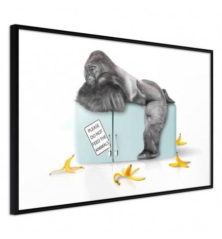 Plakat z opico s polnim trebuhom - Arredalacasa