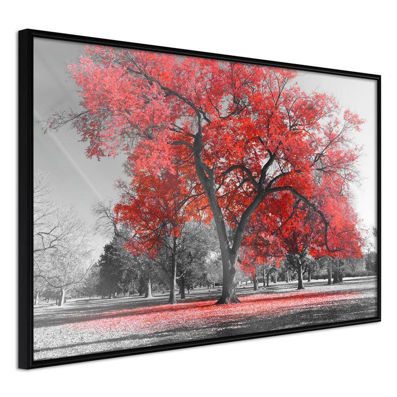 38,00 € Poster - Red Tree