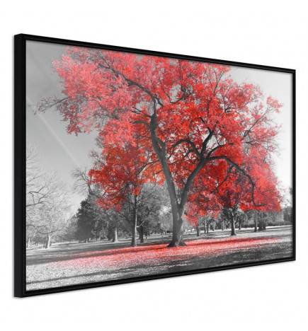 38,00 €Poster et affiche - Red Tree