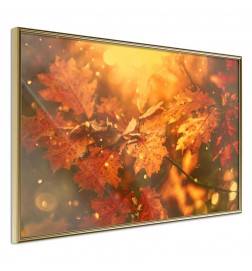 Plakatas su daugybe rudų ir auksinių lapų – Arredalacasa